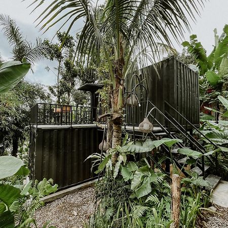 Daydream Lodge Tampaksiring Exteriér fotografie