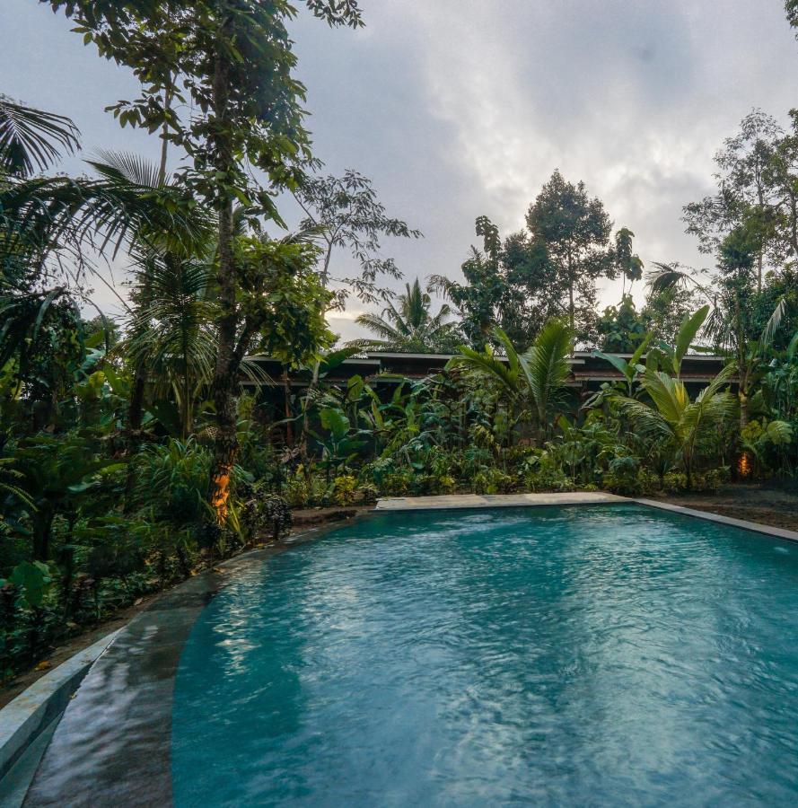 Daydream Lodge Tampaksiring Exteriér fotografie