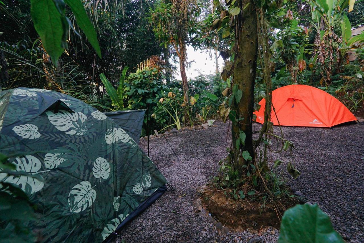 Daydream Lodge Tampaksiring Exteriér fotografie