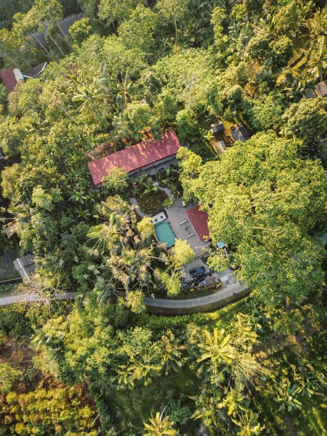 Daydream Lodge Tampaksiring Exteriér fotografie