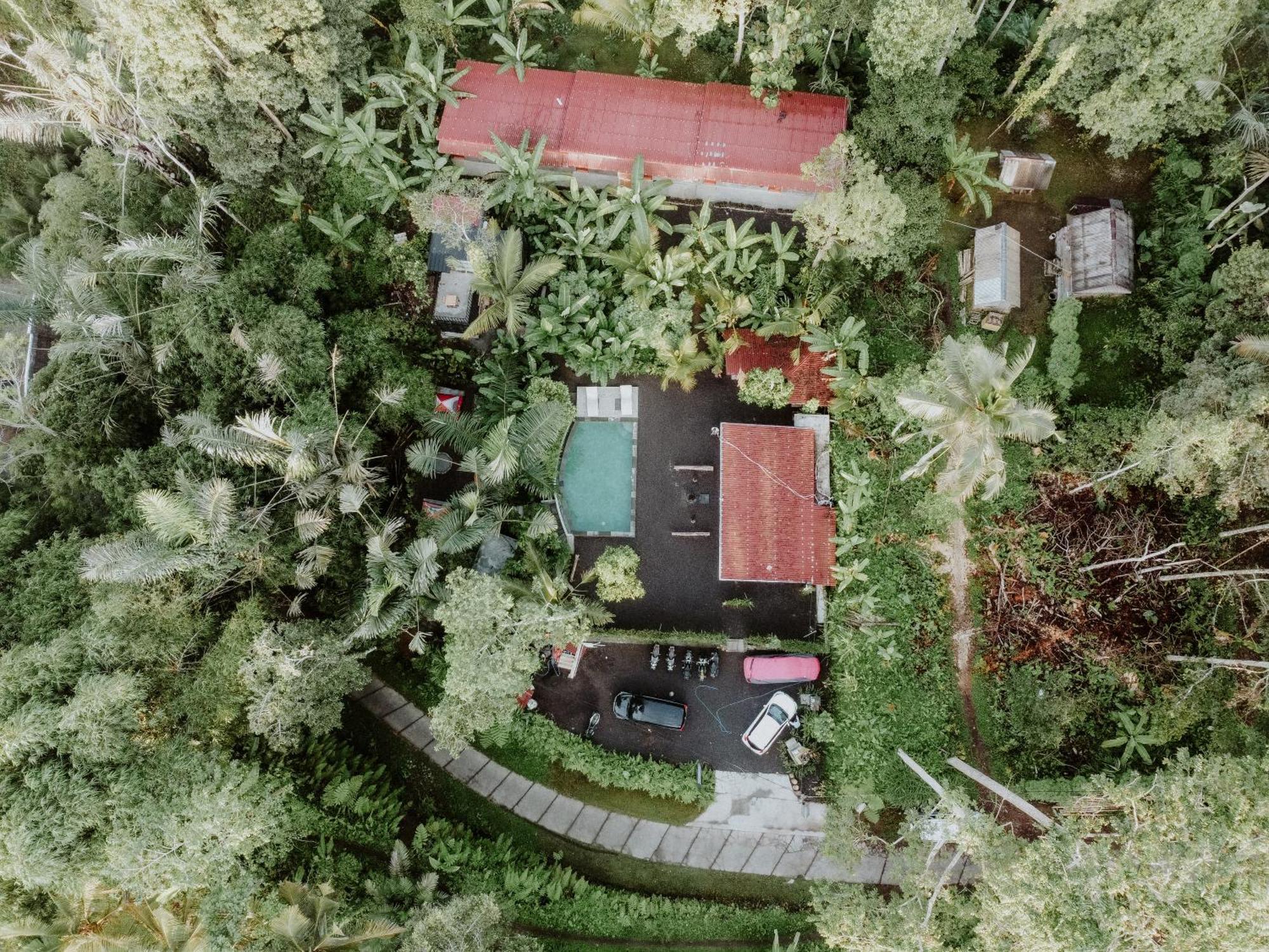 Daydream Lodge Tampaksiring Exteriér fotografie